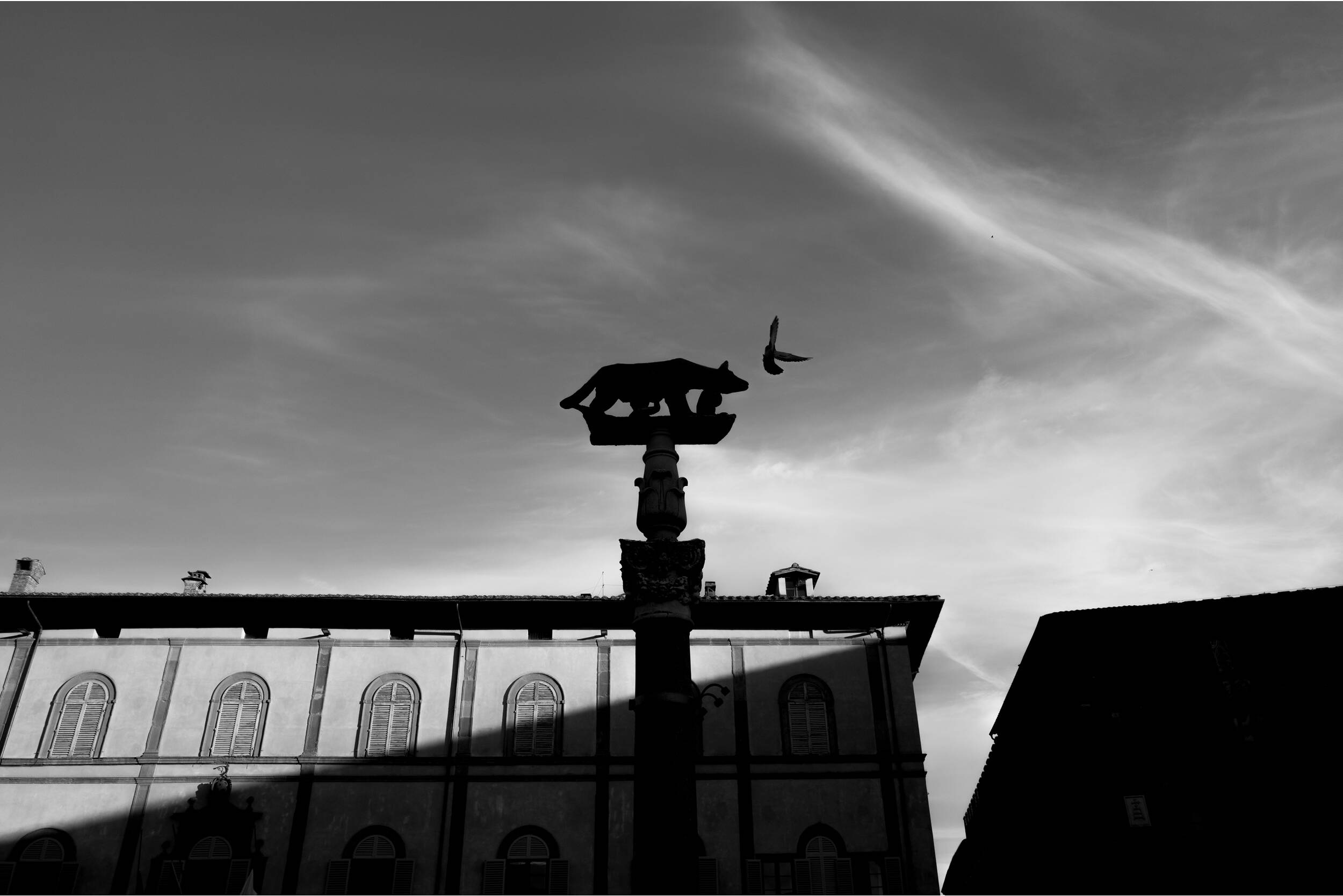 Компактный фотоаппарат Leica Q3 Monochrom (ROW)