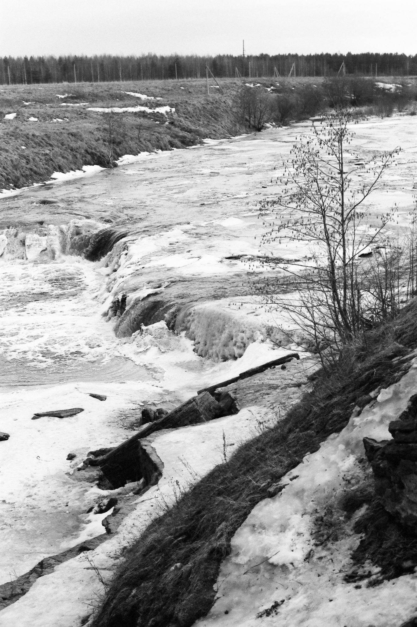 Фотопленка Silberra PAN 160, 36 кадров