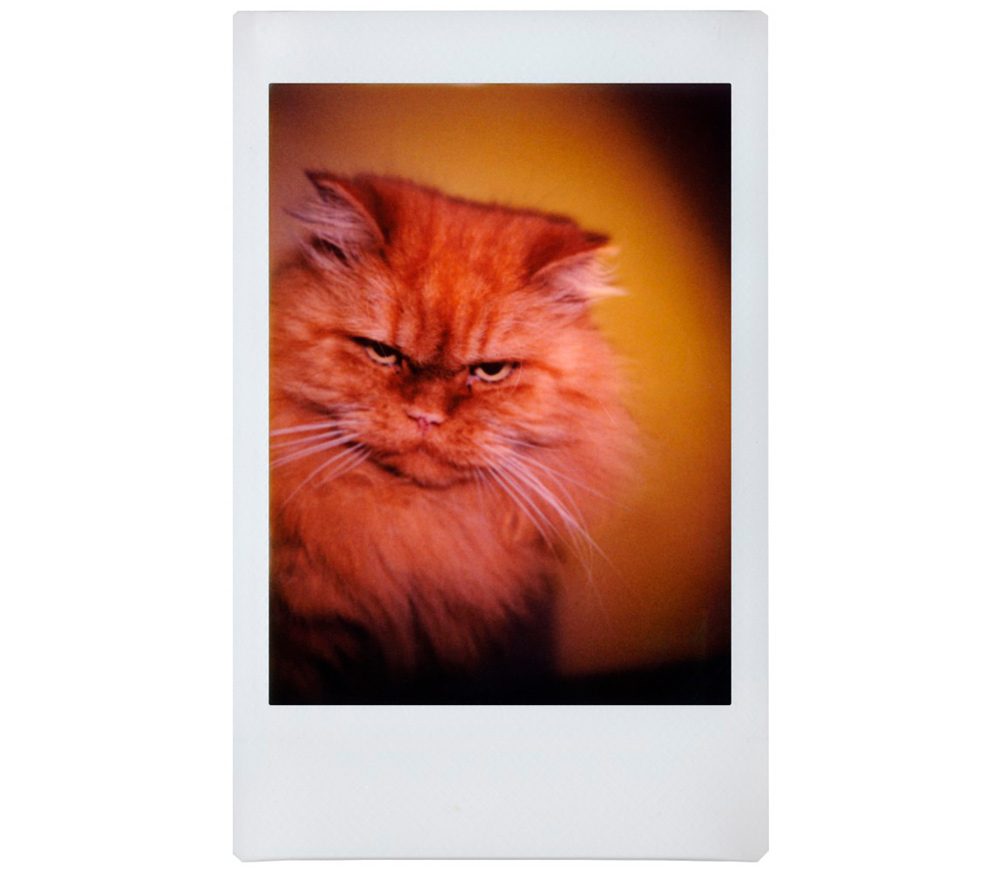 Фотоаппарат Lomography LOMO'Instant Automat Glass Serengeti