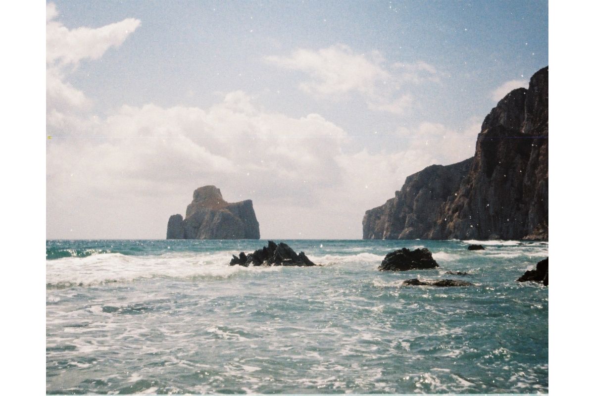 Фотопленка Lomography Color Tiger 110 ISO 200, 24 кадра