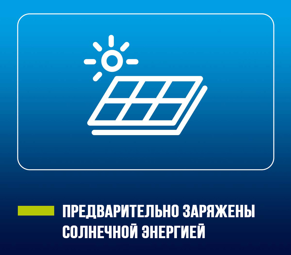 Аккумуляторы Panasonic Eneloop AAA 800 мАч + кейс (BK-4MCDEC4BE)