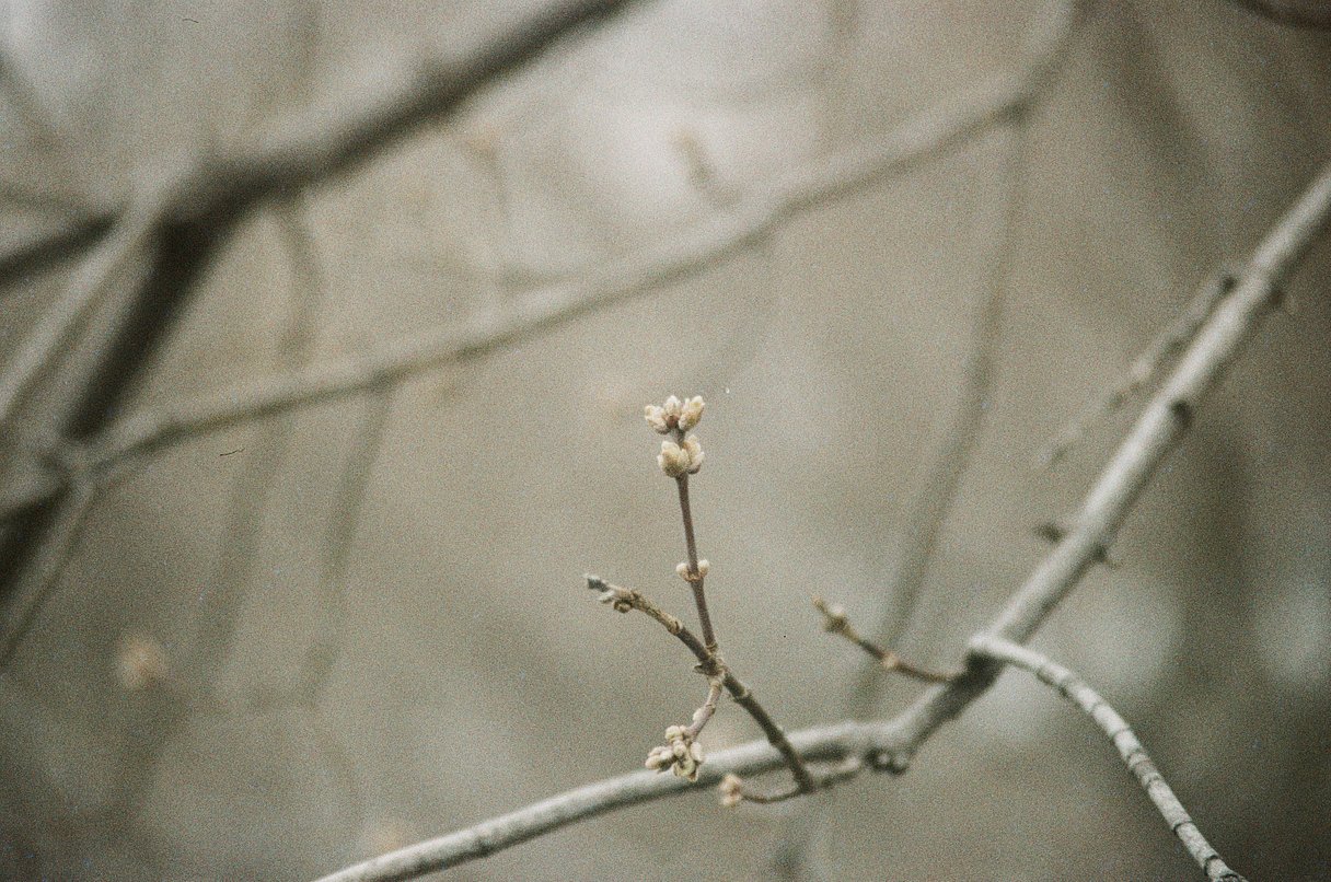 Фотопленка SFL Shanghai Color 400, 135 формат, 24 кадра
