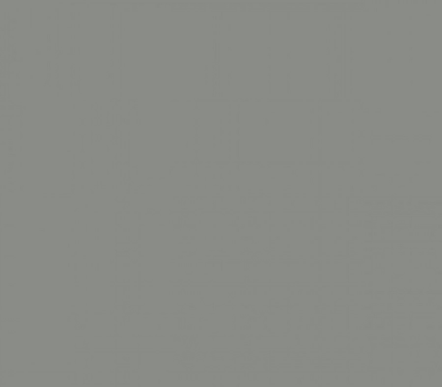 Фон VIBRANTONE Dark Grey 100 х 140 см, пластиковый, серый, матовый / глянцевый