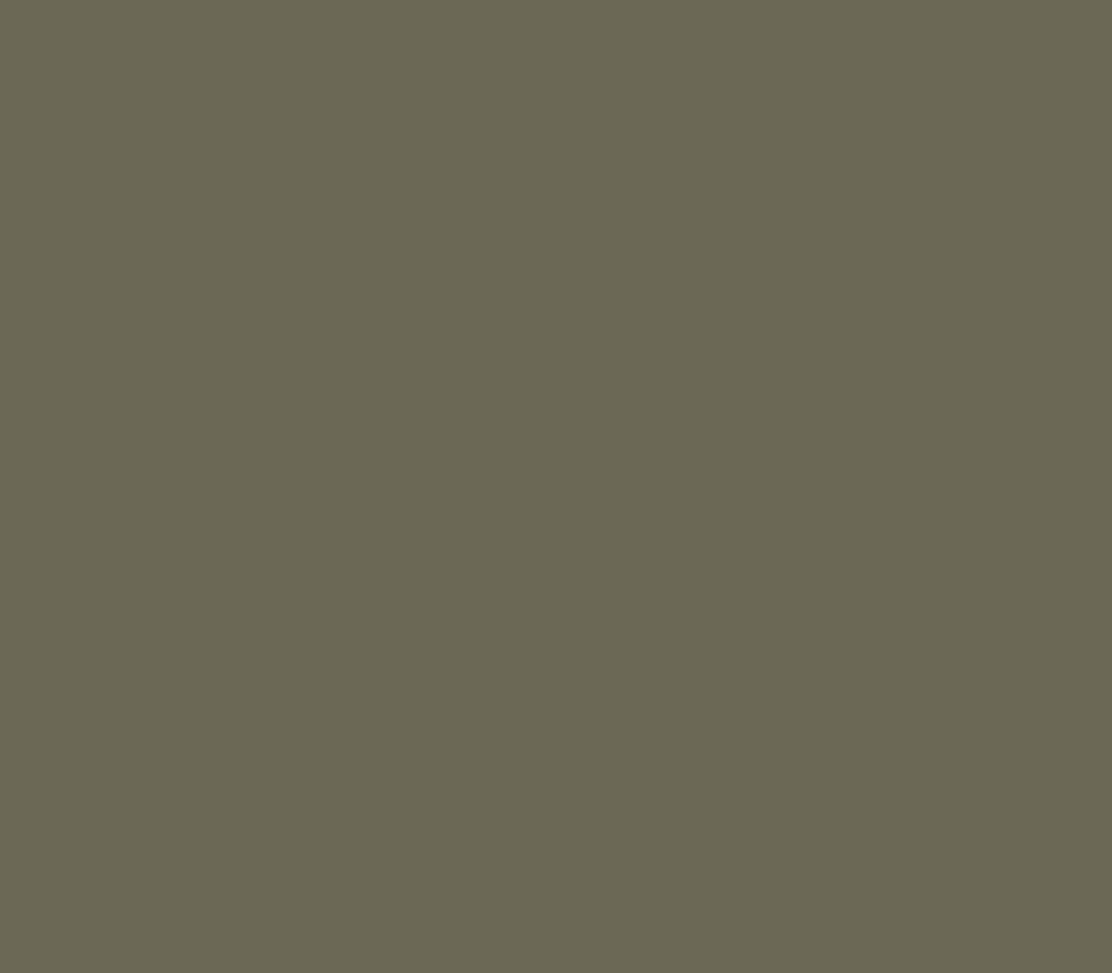 Фон Falcon Eyes BackDrop, бумажный, 2.72x10 м, хаки