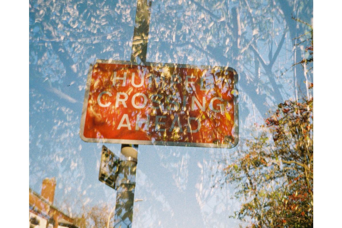 Фотоаппарат Lomography Lomomatic 110 Camera & Flash Zebra Crossing