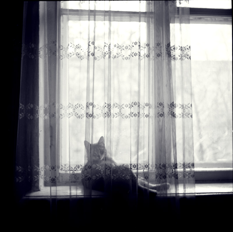 Фотопленка Foma Fomapan 100 Classic 135, 24 кадра