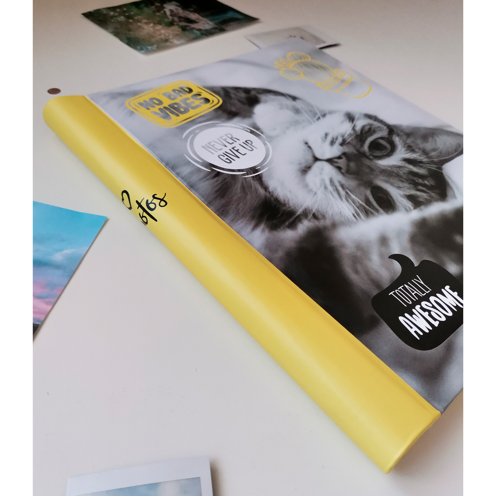 Фотоальбом Полином магнитный, 10 листов 23х28 см, «Fluffy pets» Мяу