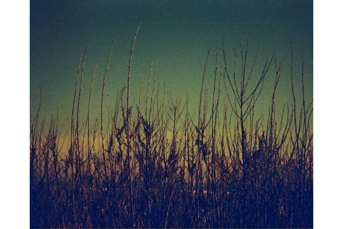Фотопленка Lomography Lobster Redscale 110 ISO 200, 24 кадра