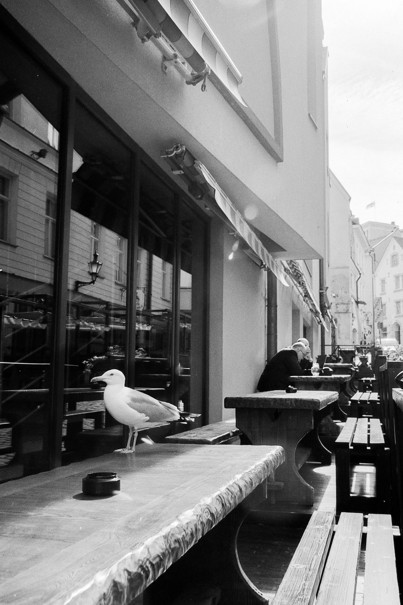 Фотопленка Silberra U200, ч/б негативная, 135 формат, 36 кадров