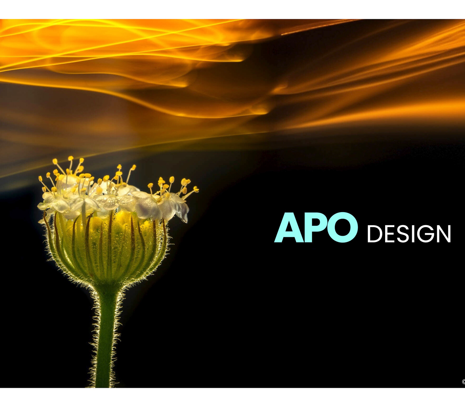 Объектив Laowa 180mm f/4.5 1.5x Ultra Macro APO Nikon Z