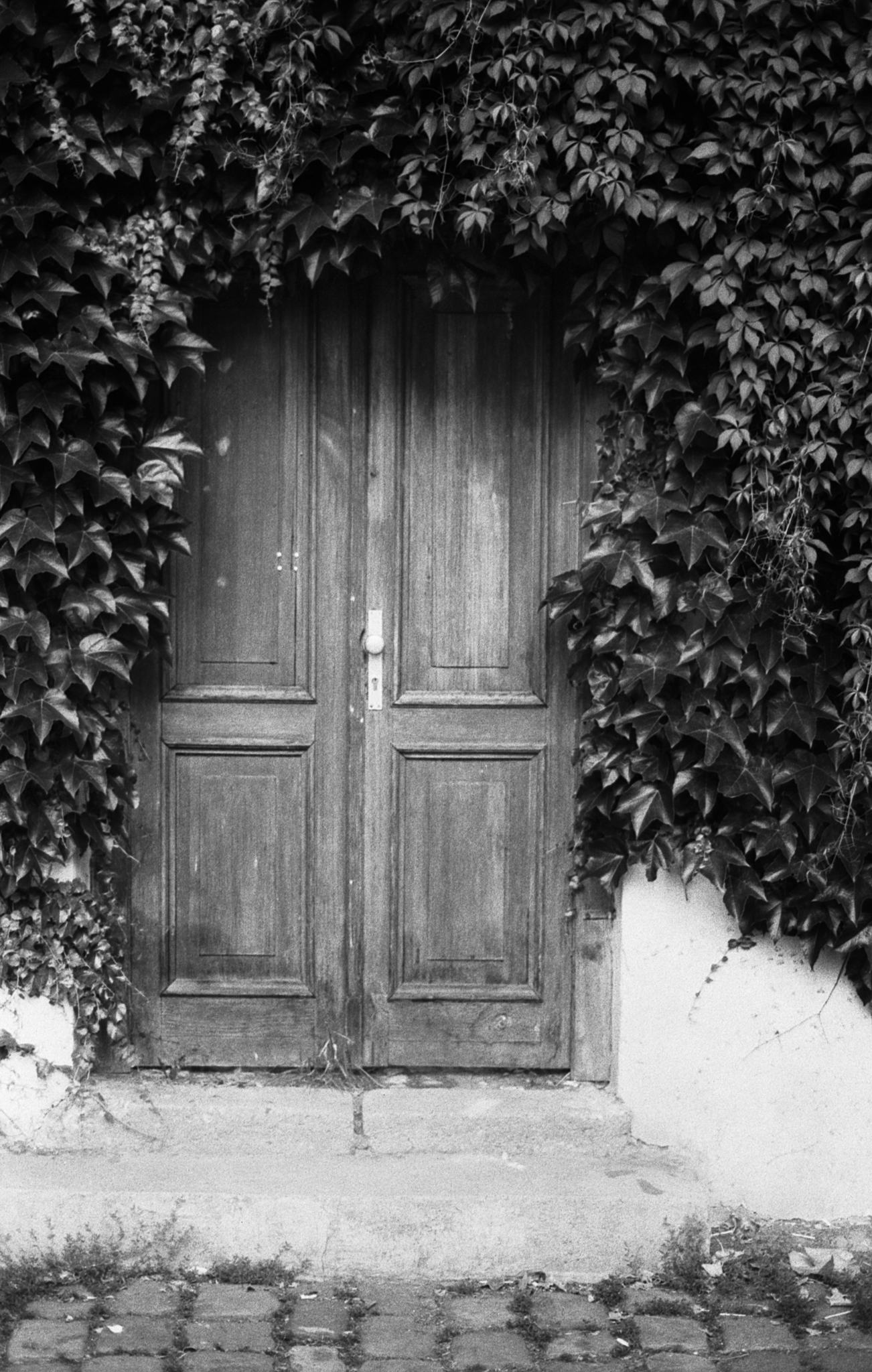 Фотопленка Silberra U200, ч/б негативная, 135 формат, 36 кадров