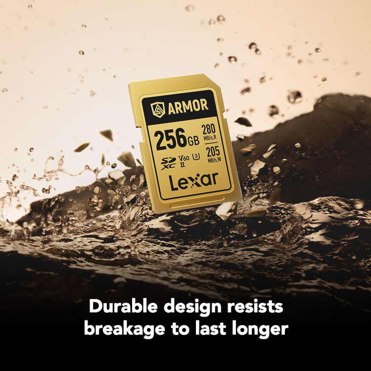 Карта памяти Lexar SDXC 256GB ARMOR Gold C10 V60 U3 (R280/W205 MB/s)