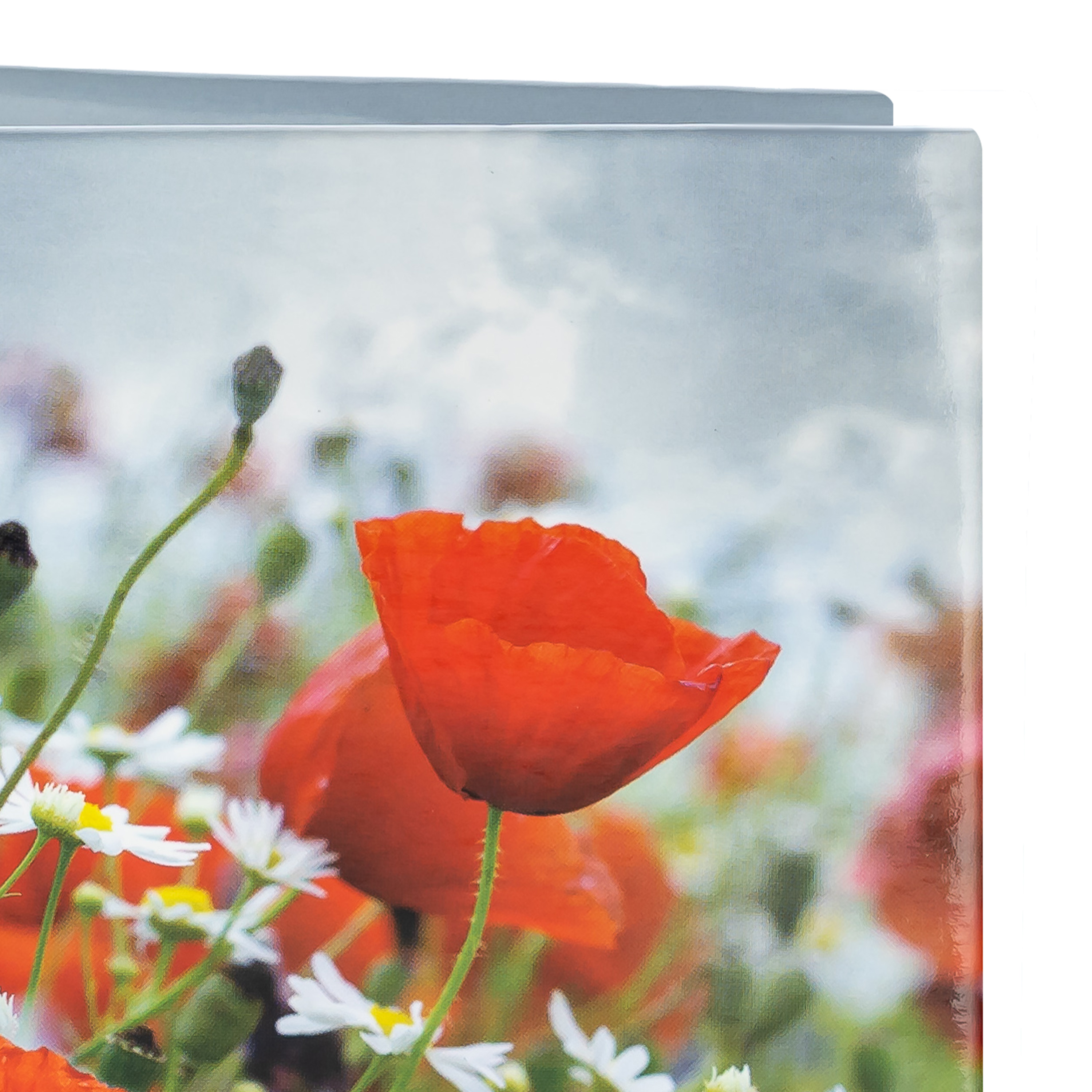 Фотоальбом Fotografia 10x15 см 100 фото, «Цветы», FA-PP100-342