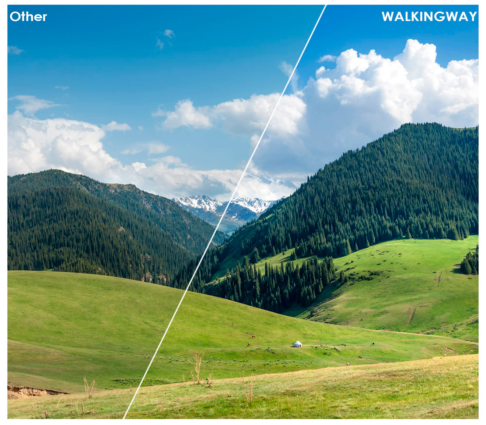 Светофильтр Walking Way UNC UV 46mm