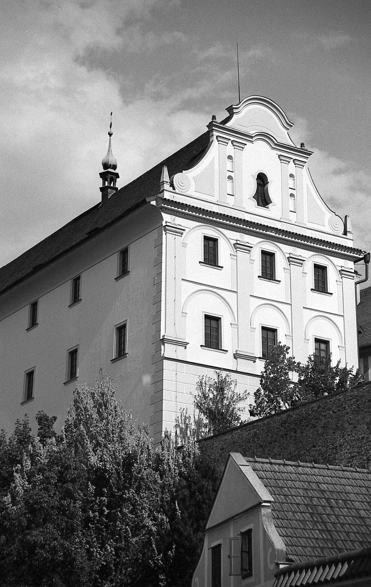 Фотопленка Silberra PAN 100, 36 кадров