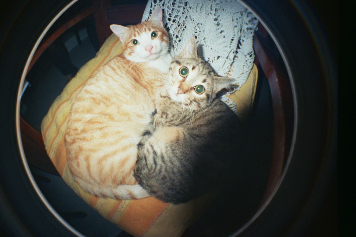 Пленочный фотоаппарат Lomography Fisheye No. 2, цвет Rodeo Denim