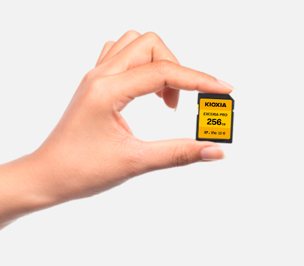 Карта памяти Kioxia SDXC 256GB Exceria Pro UHS-II U3 V90