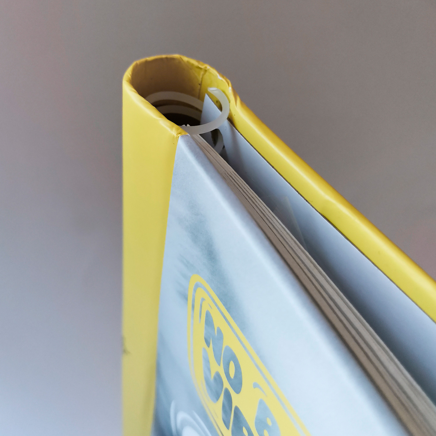 Фотоальбом Полином магнитный, 10 листов 23х28 см, «Fluffy pets» Мяу