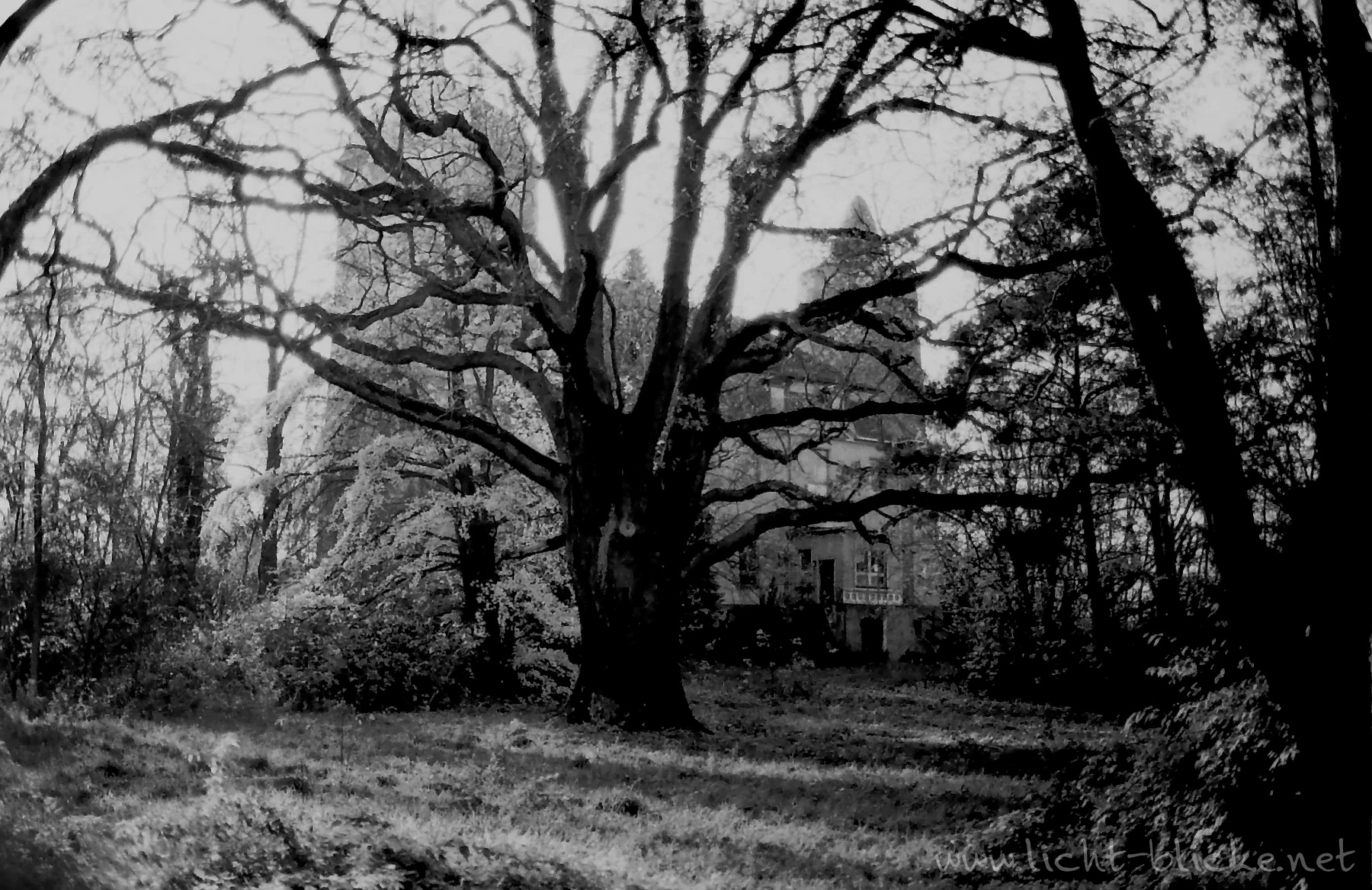 Фотопленка ORWO WOLFEN UN54, ISO 100, 135 формат, 36 кадров