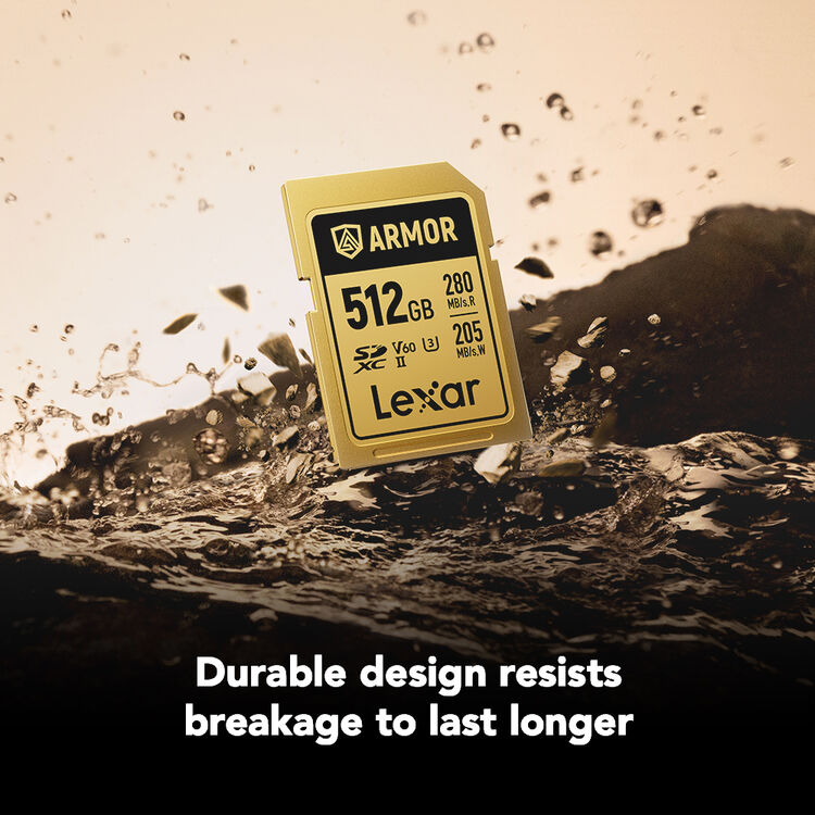 Карта памяти Lexar SDXC 512GB ARMOR Gold C10 V60 U3 (R280/W205 MB/s)