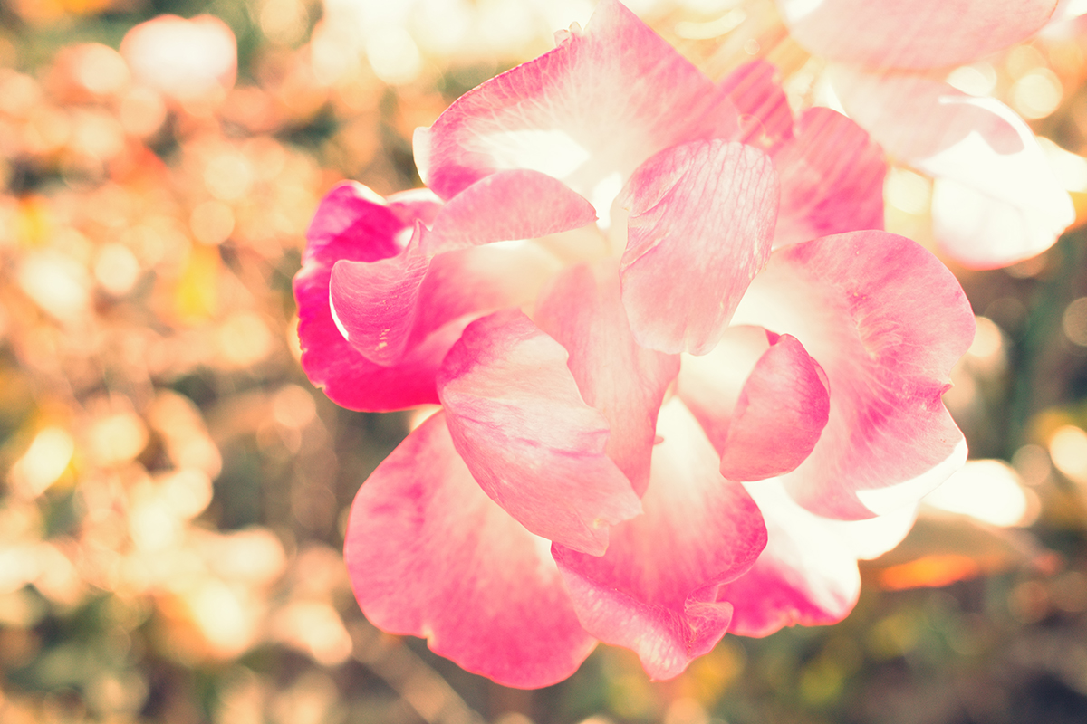 Компактный фотоаппарат Ricoh GR IIIx HDF