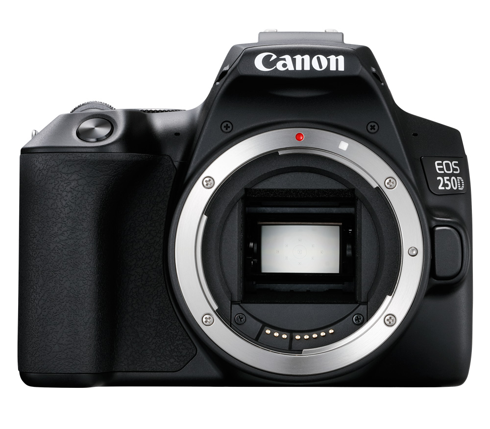 Зеркальный фотоаппарат Canon EOS 250D Kit Black + 18-55 IS STM (повреждена упаковка) (уцененный)