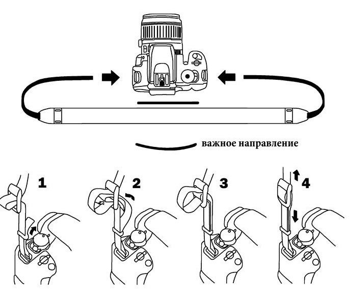 Ремень Fujimi FANS-D, универсальный, трикотажный, с надписью