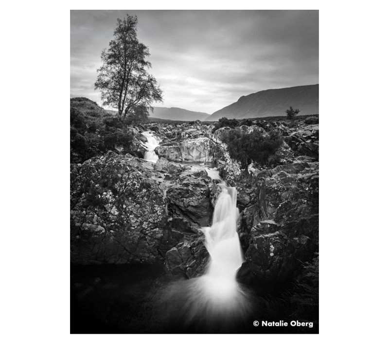 Фотопленка Ilford ORTHO Plus 80, 36 кадров