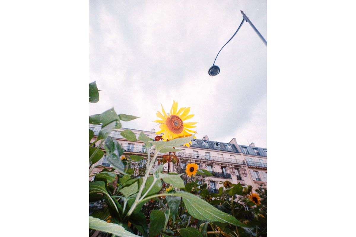 Фотоаппарат Lomography LomoApparat 21mm Wide-angle Camera Paris