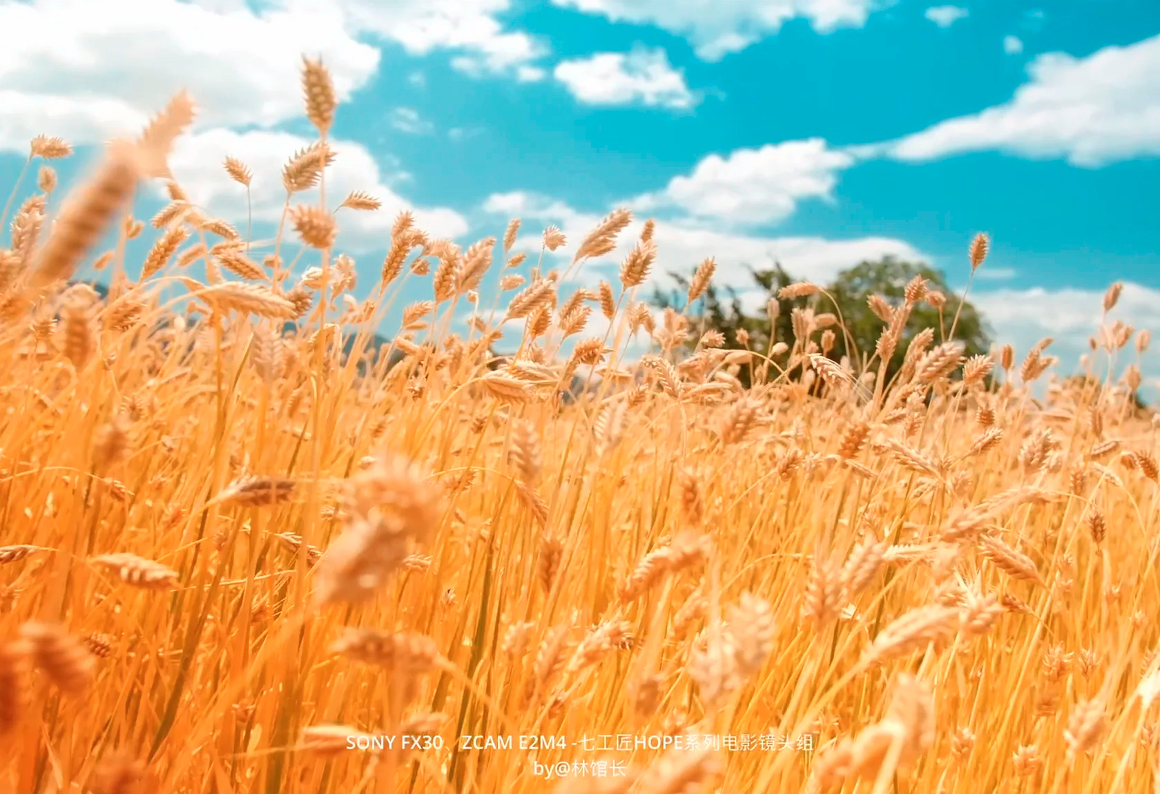 Объектив 7Artisans 85mm T2.1 Hope Prime Sony E, черный