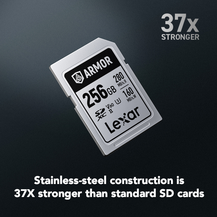 Карта памяти Lexar SDXC 256GB ARMOR Silver Pro C10 V60 U3 6K UHD (R280/W160 MB/s)