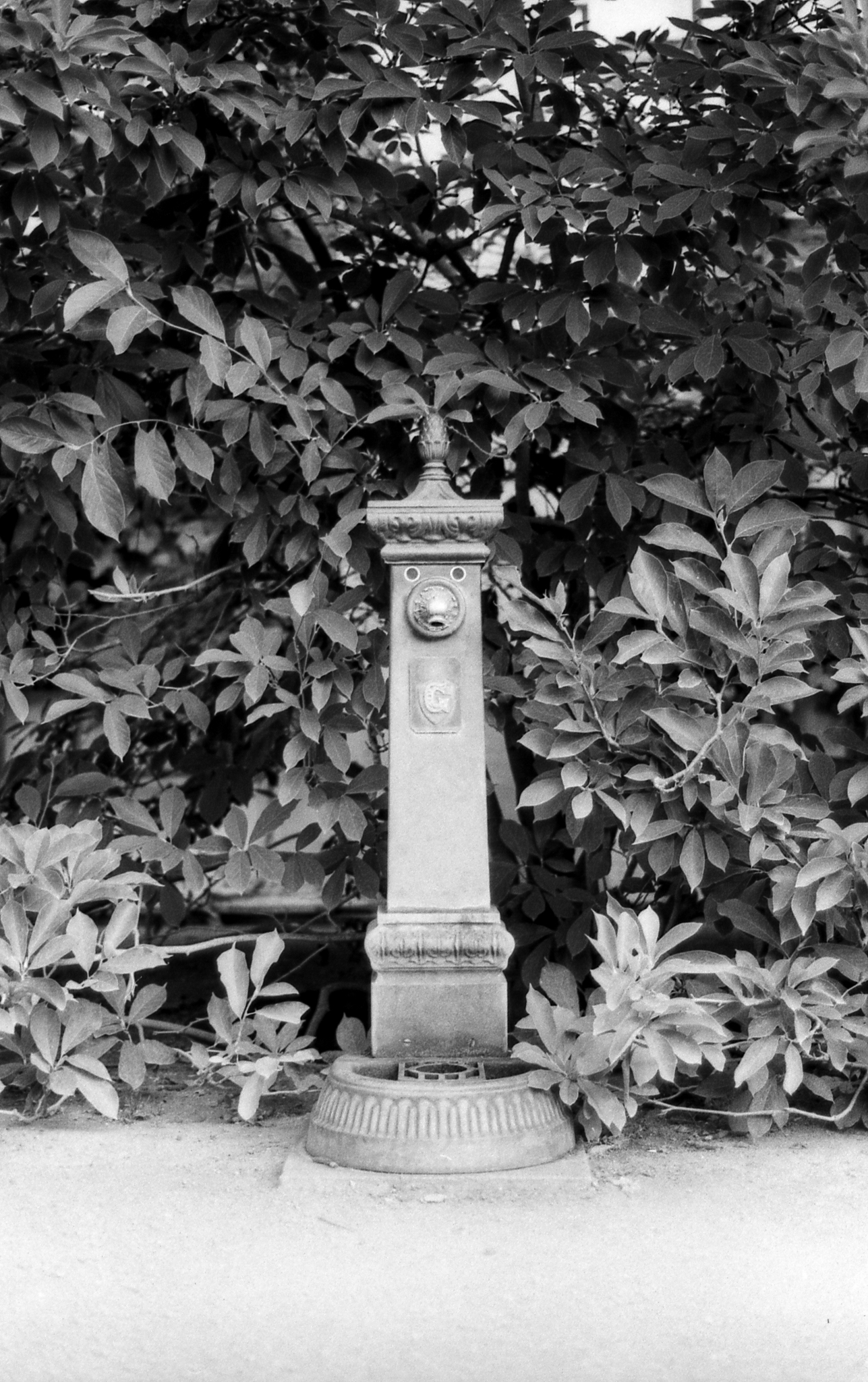 Фотопленка Silberra U200, ч/б негативная, 135 формат, 36 кадров