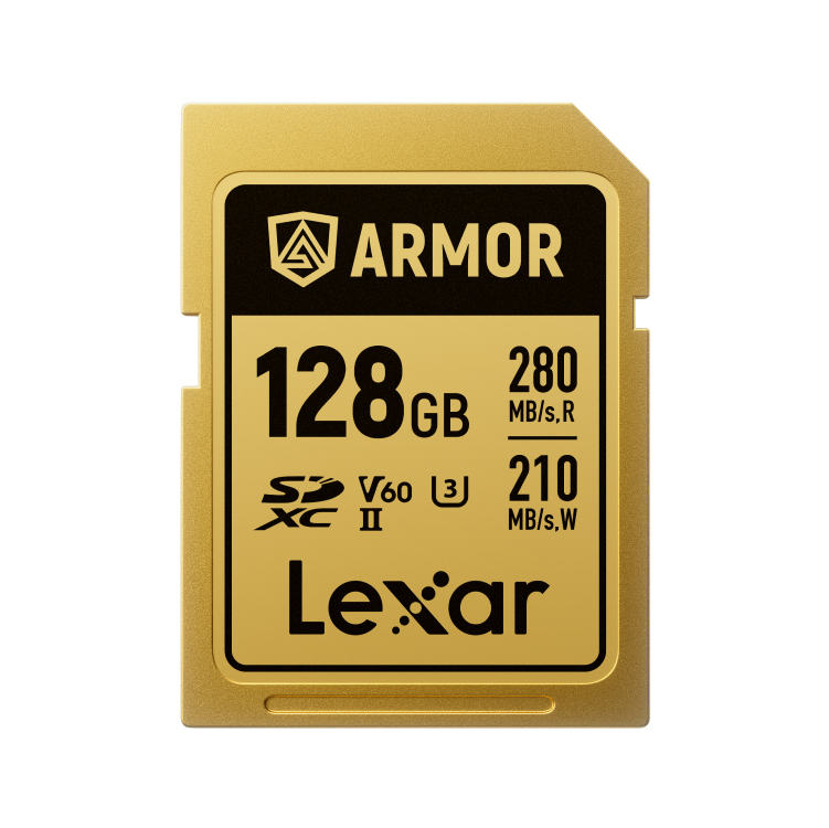 Карта памяти Lexar SDXC 128GB ARMOR Gold C10 V60 U3 (R280/W210 MB/s)