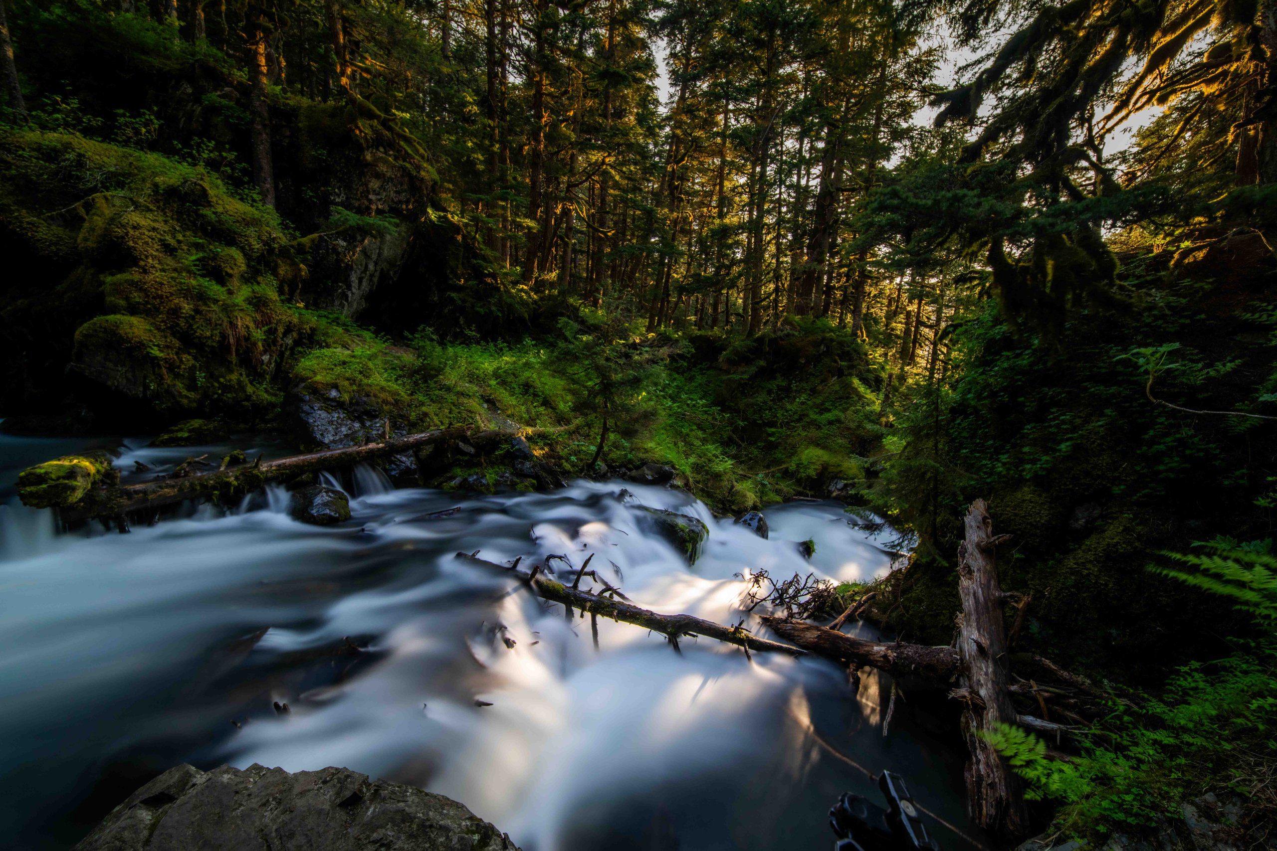 Объектив Laowa 12mm f/2.8 Lite Zero-D FF Auto Focus Sony FE