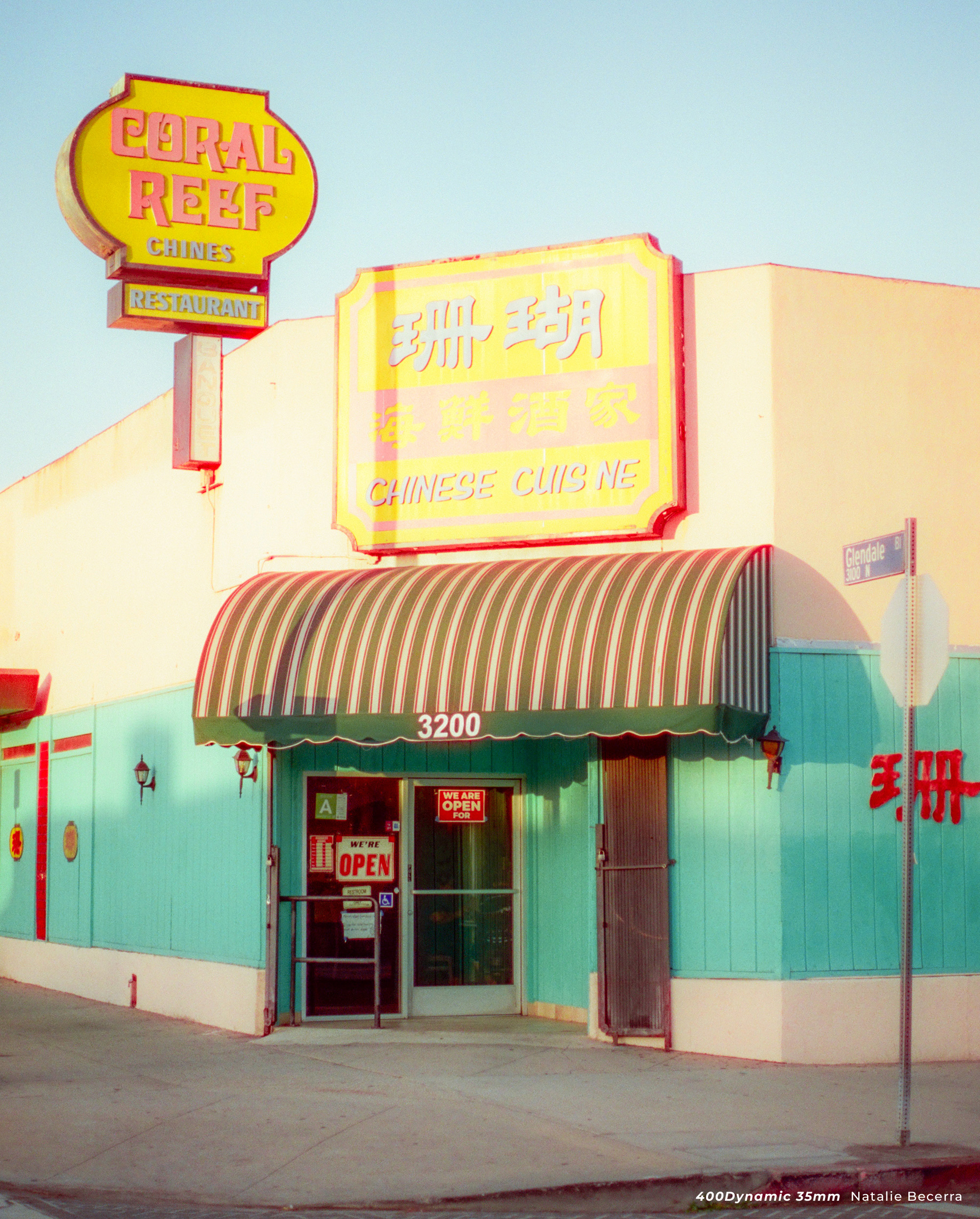 Фотопленка CineStill 400 Dynamic Versatile Color Negative 135/36