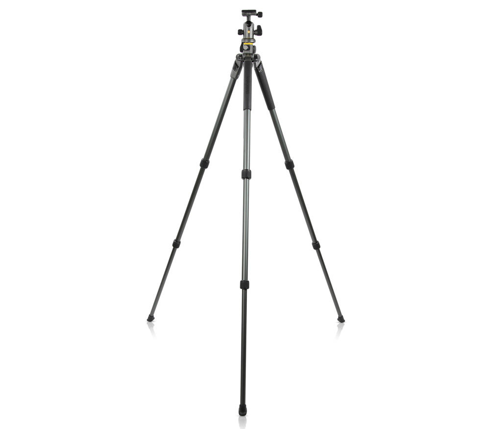 Штатив Vanguard Alta PRO 2+ 263AB 100