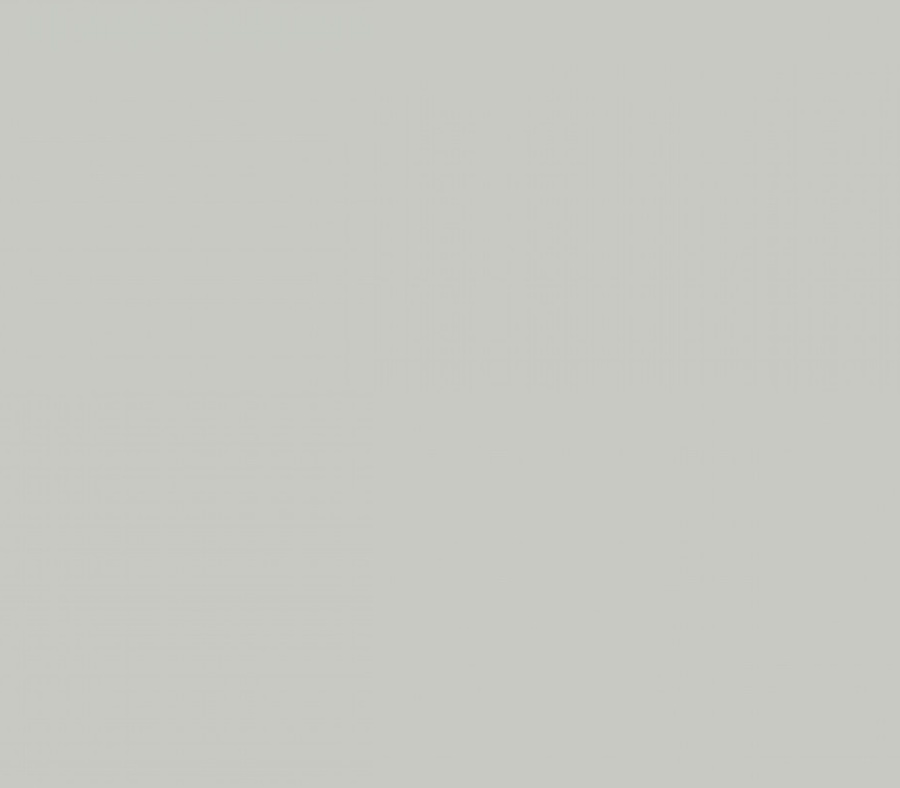 Фон VIBRANTONE Light Grey 100 х 140 см, пластиковый, серый, матовый / глянцевый