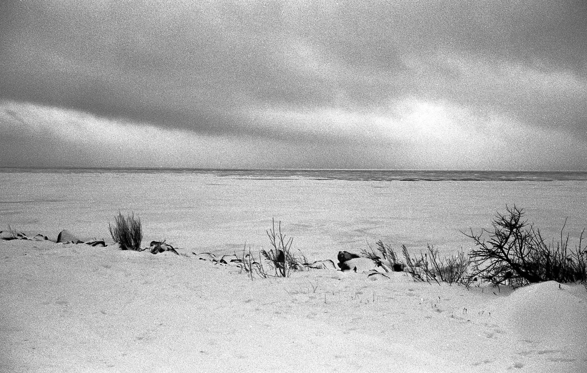 Фотопленка Silberra PAN 100, 36 кадров