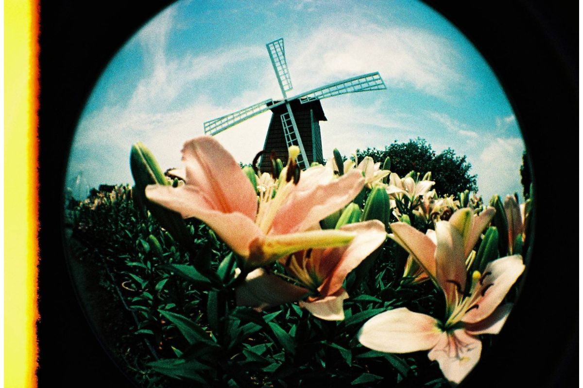 Пленочный фотоаппарат Lomography Fisheye No. 2, цвет Rodeo Denim