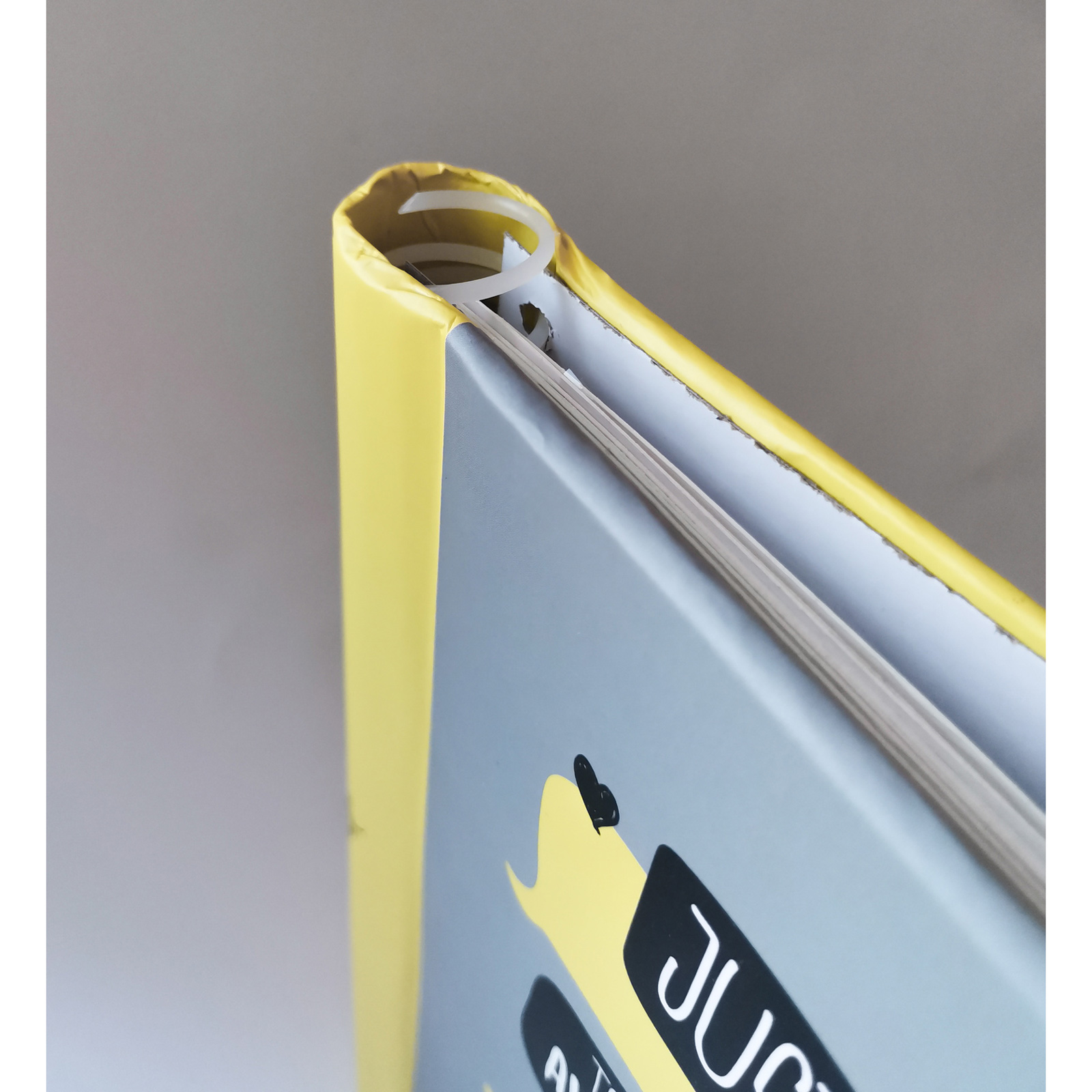 Фотоальбом Полином магнитный, 10 листов 23х28 см, «Fluffy pets» Гррр