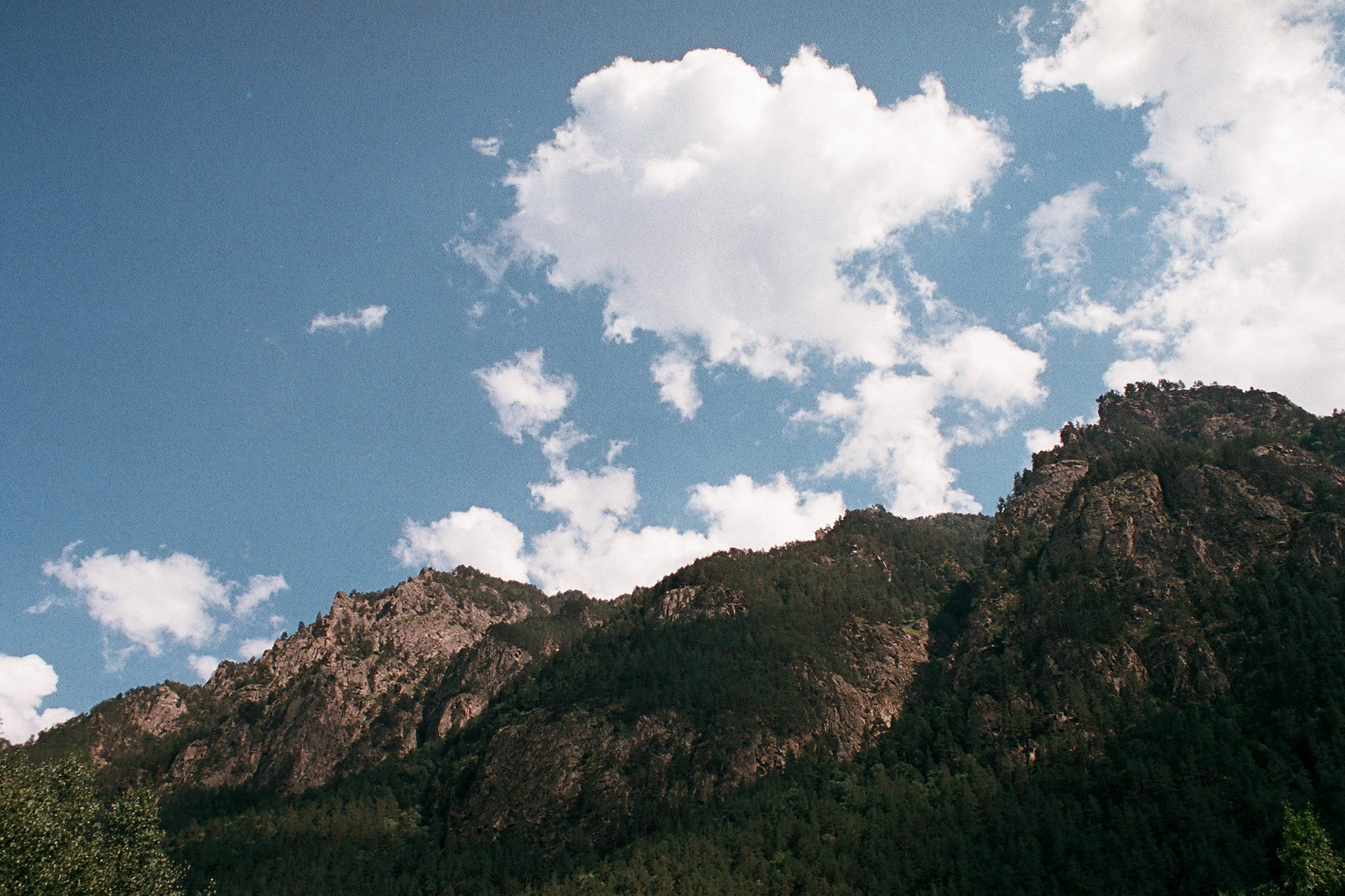 Фотопленка Silberra COLOR100 C-41 135, 36 кадров