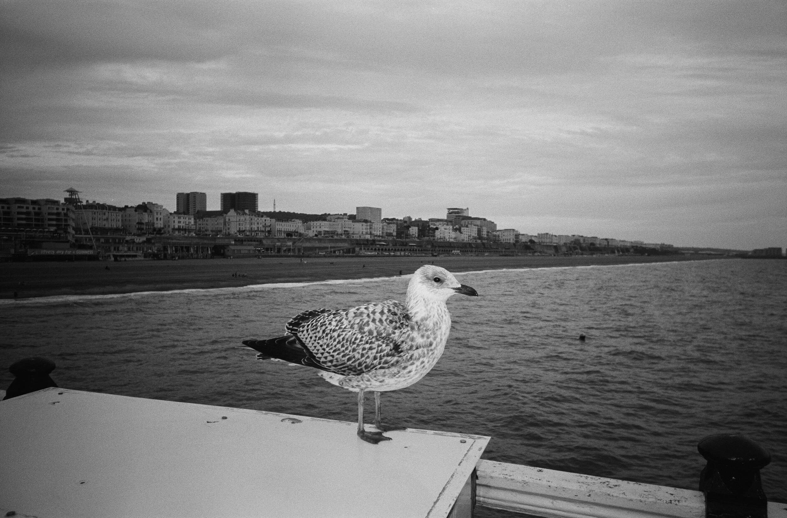 Компактный фотоаппарат Kodak Snapic A1 Rhino Grey