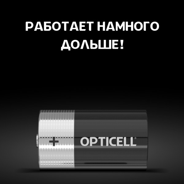 Батарейки Opticell D/LR 20 Basic, 2 шт.