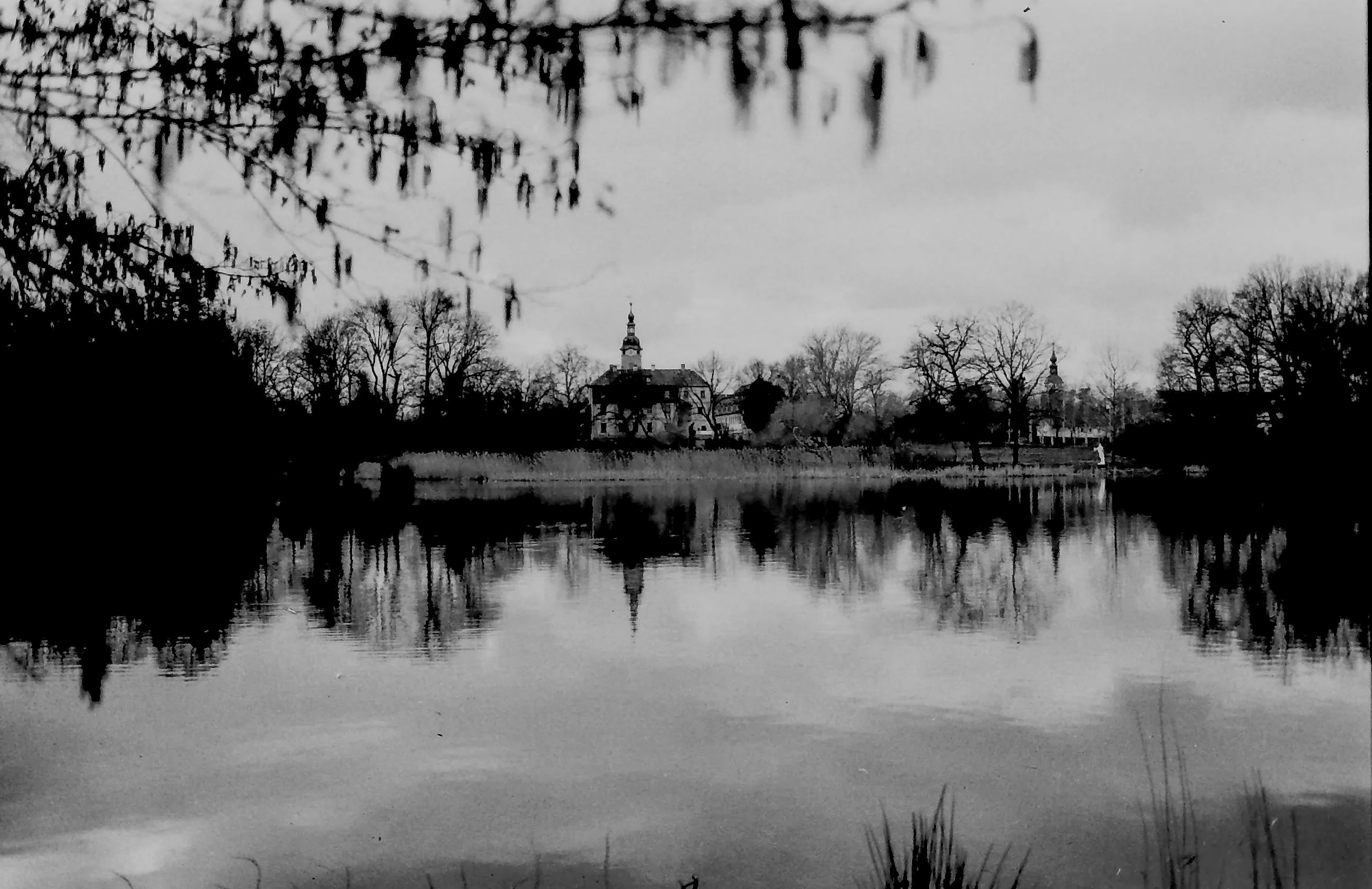 Фотопленка ORWO WOLFEN NP100, ISO 100, 135 формат, 36 кадров