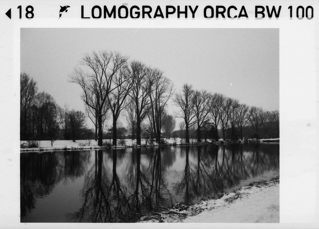 Фотопленка Lomography B&W Orca 110 ISO 100, 24 кадра