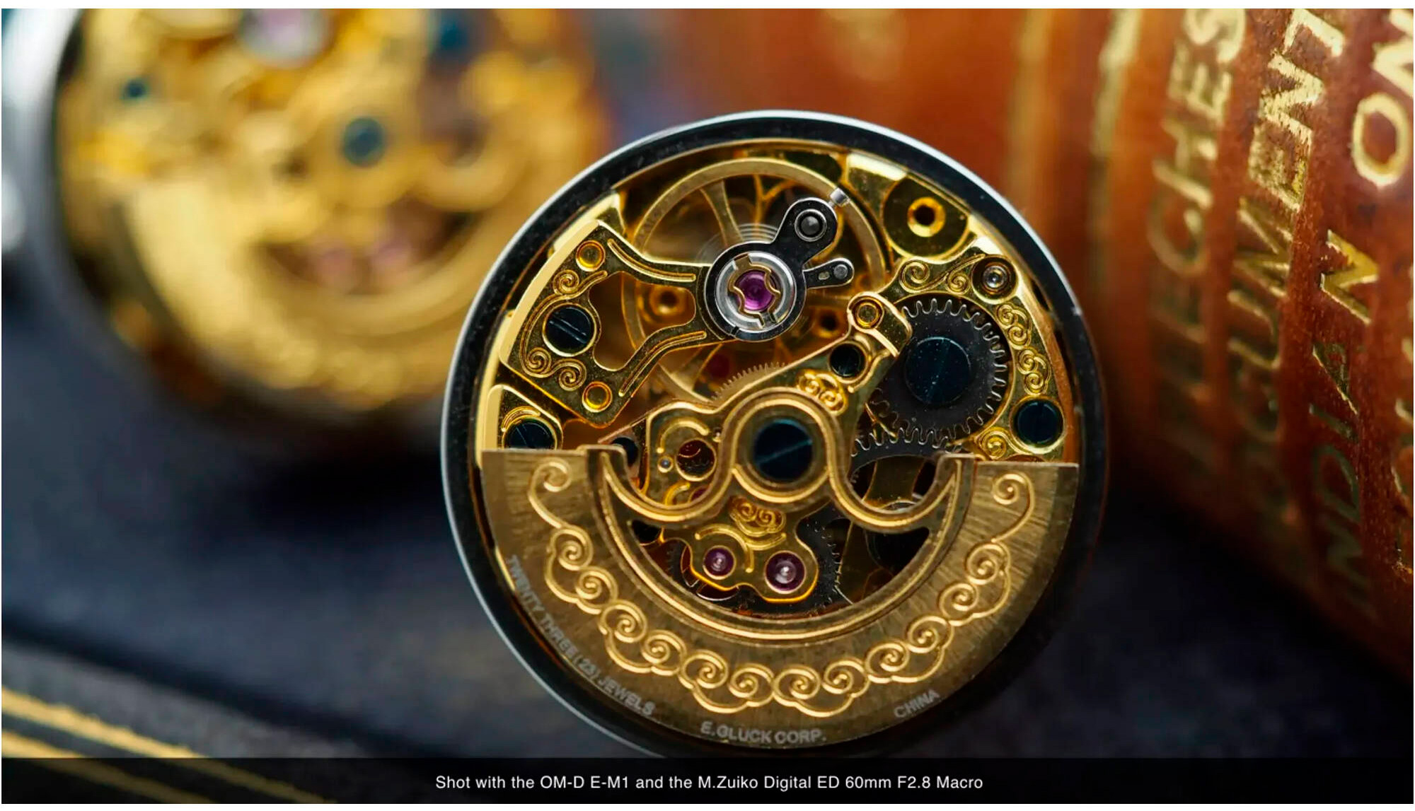 Объектив OM System M.ZUIKO Digital ED 60mm f/2.8 Macro