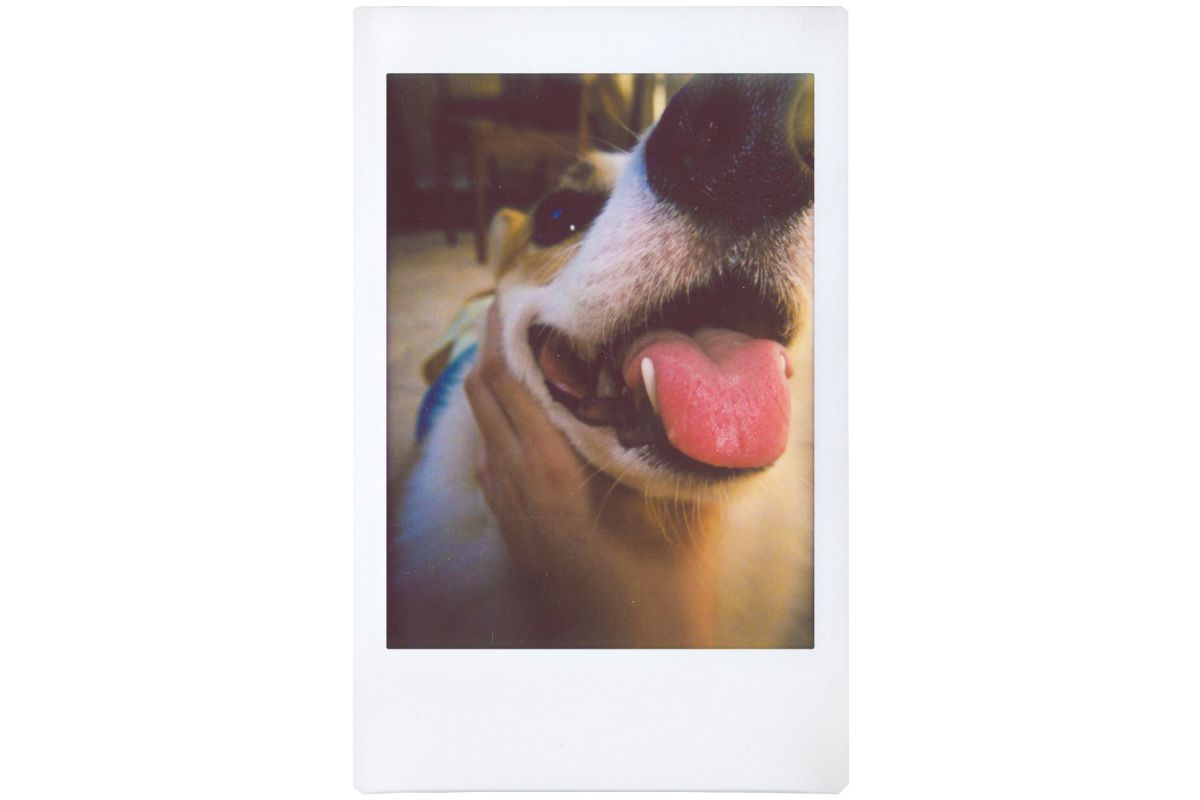 Фотоаппарат моментальной печати Lomography LOMO'Instant Automat Opbeni + 3 объектива