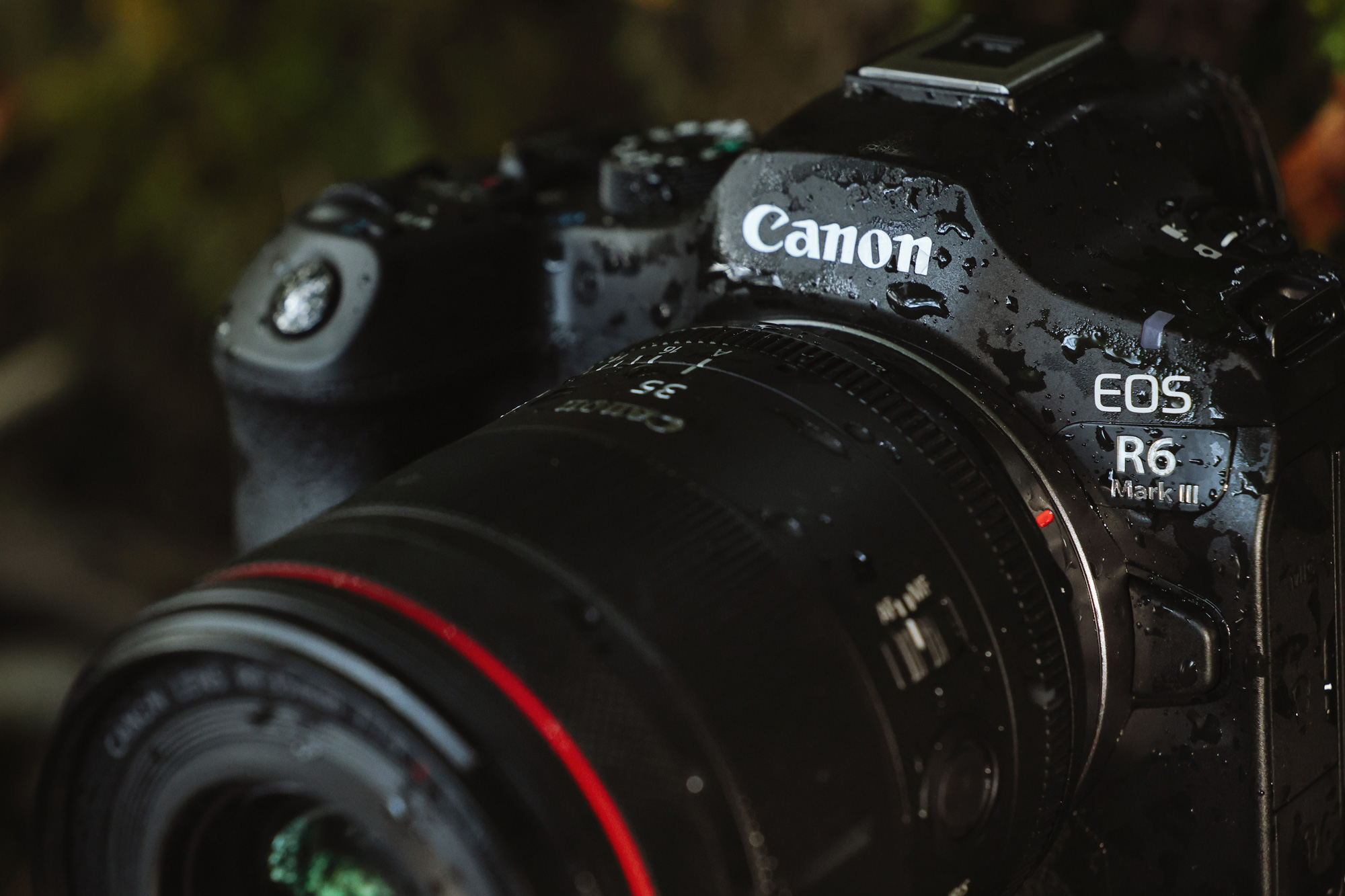 Беззеркальный фотоаппарат Canon EOS R6 Mark III Body