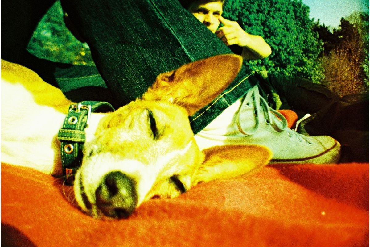 Плёночный фотоаппарат Lomography La Sardina & Flash DIY