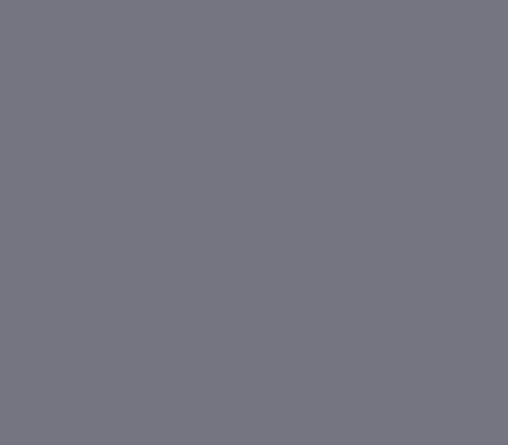 Фон FST STORM GREY 1031, бумажный, 2,72х11 м,  штормовой серый